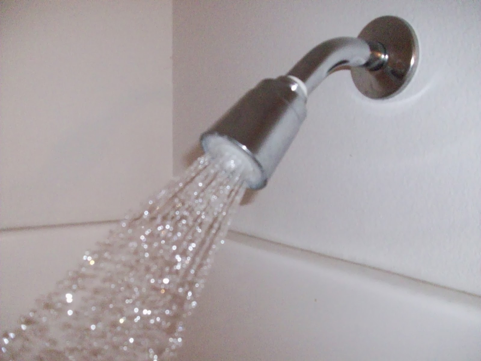 BigFamiliesBigIdeas Tip of the Day Change Out Your Shower Head